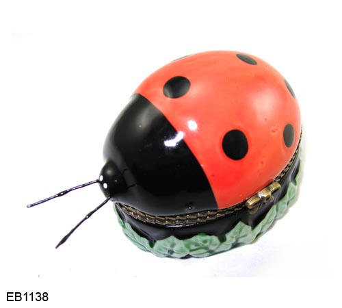 EB1138